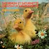 disque live saturnin saturnin et saturnette chantent pour les enfants ricet barrier variante